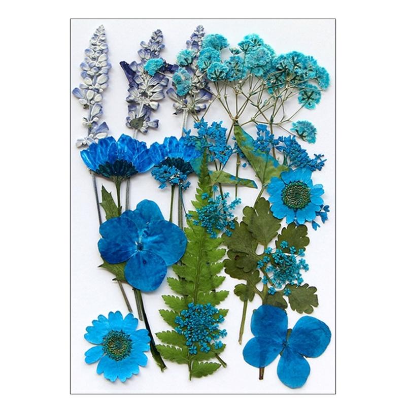 

Dried Pressed Flower for Resin Molds Natural Dry Flower Leaves for Art Craft Supplies Scrapbooking Jewelry Making 6XDE