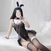 Lingerie Role-playing Costumes Exotic Accessories Sexy Cosplay Bbunny Girl Magic Sexy Costume Porn
