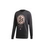 Men's Dfb Ssp Cr Swt Germany National Team Large Logo Round Neck Long Sleeves Black FI1470