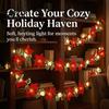 Indoor Holiday Lighting Christmas Poinsettia String Lights, 200/300cm Red Green Floral Garland, Battery/USB Low Voltage LED Operated Outdoor