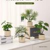 Decorațiuni pentru casă – Flori decorative şi coroane de flori