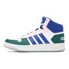 Adidas Hoops 2.0 Mid Shoes 'White Royal Blue' Women's GY5900