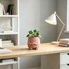 Mini Flowerpot Cute Desktop Planter 3D Printed Healing Smiling Face Creative Green Plant Pot for Home