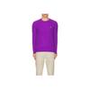 Polo Ralph Lauren Solid Logo Round Neck Long Sleeve Knit Sweater Men sweater Purple 710876762-025