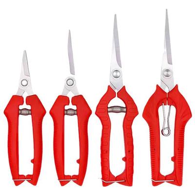 Stainless Steel Garden Pruning Shears for Thinning, Fruit Picking, and Orchard Gardening.