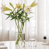 Clear Acrylic Flower Vases, 20x10 and 25x12cm. Cylindrical Vase Made of Unbreakable Plastic for Floral Arrangements, Wedding Centerpieces, and DIY Pro