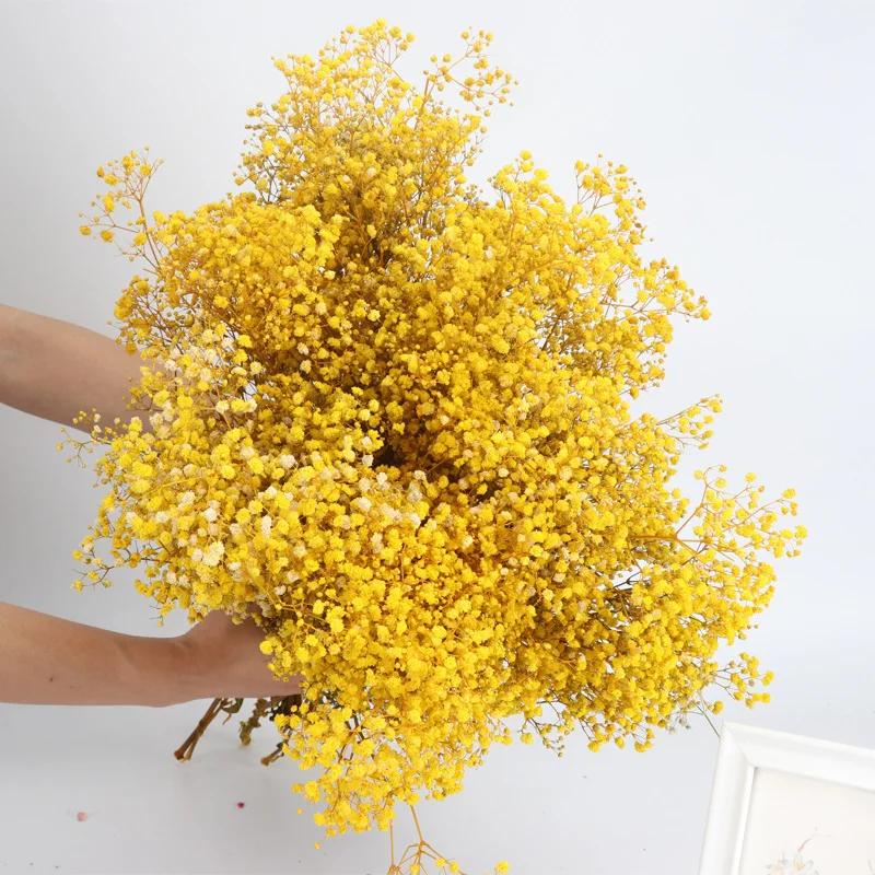 Dried Flowers Babys Breath Bouquet Ivory White Flowers Natural Gypsophila Branches for Home Decor Wedding Flowers Bulk for Vase