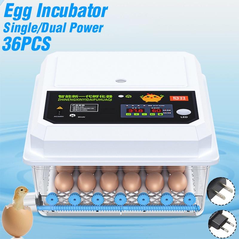 36 Eggs 220V Bird Quail Brooder Farm Hatchery Incubator Brooder Machine Egg Hatchers Chicken Automatic Eggs Incubator 1*Battery