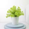 Artificial Green Plant Non-withered Create Vitality Long Service Life Durable Wedding Centerpiece Simulation Potted Plant Bonsai
