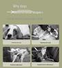 Dog Diapers: 60-Count Puppy & Dog Menstrual Pads for Males and Females