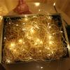 Battery LED Copper Wire Fairy Lights for Birthday & Christmas Decoration
