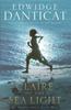 Claire de la Lumière Marine par Edwidge Danticat Livre de poche 9781782068518
