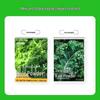 Qing Yuansu Dietary Fiber & Superfood Drink Mixes