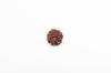 6-Mukhi Nepalesischer Rudraksha-Samen | Zertifizierter Echter Rudraksha für Spirituelles Wachstum | Echtes Heiliges Korn für Meditation & Heilung von Navratan Gems