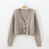 Short High-waist Slim Cable Sweater for Women Spring and Autumn New Style Single-breasted Knitted Cardigan