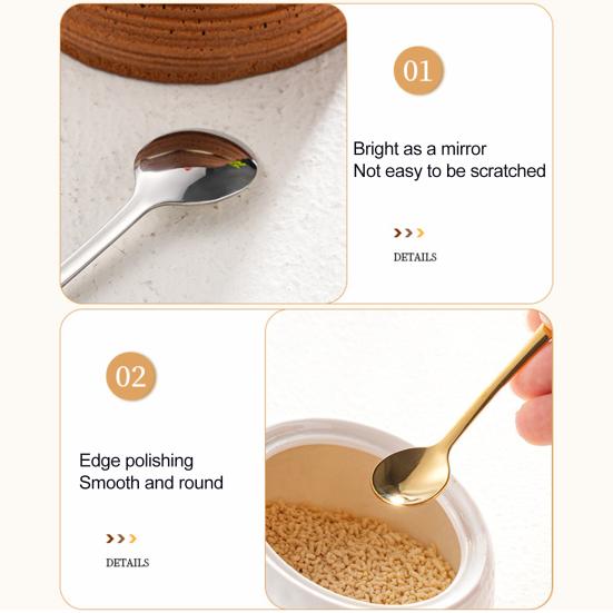 6Pcs Tiny Spoon Set Mini Stainless Steel Spoons for Salt Spice Jars Portable Seasoning Spoon for Powder Spices Sugar Coffee