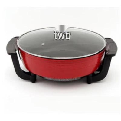 ZISIZ Multifunktioneller Elektrischer Hot Pot