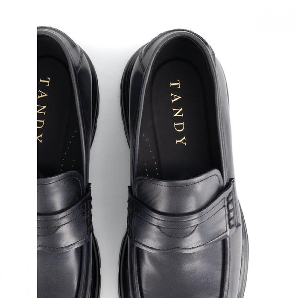 Tandy Men S CaSual Penny Loafer 516763 C 1411