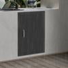 Porte d'accès pour barbecue en acier noir simple 43x58,5 cm, Porte d'armoire de cuisine extérieure, Panneau de porte de barbecue de remplacement, Installation facile