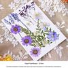 Nordic Simple Acrylic Photo Frame - 6-7 Inch DIY Dried Flower Pressed Specimen