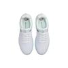 Nike Sb Zoom Nyjah 3 Skylight University Red DV7896-400