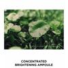 SKIN 1004 - Madagascar Centella Tonaufhellende Kapsel-Ampulle Mini