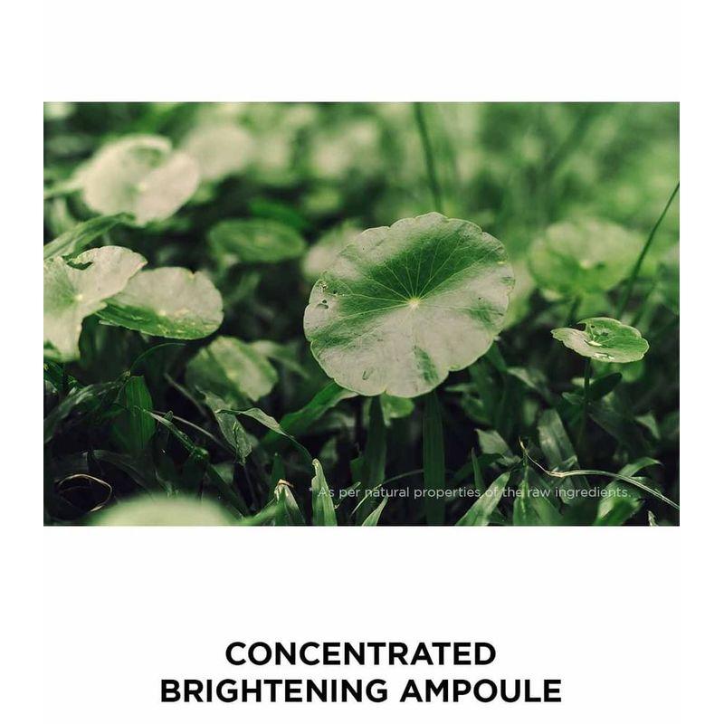 SKIN 1004 - Madagascar Centella Tonaufhellende Kapsel-Ampulle Mini