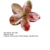 Hair Claw Flower Shape Stable Grip Summer Back Head Hair Clip Bright Color Non-Slip Shower Hair Claw Hair Accessories