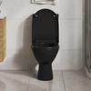 Toilet Seat with Soft Close Mechanism and Quick Release Function Black