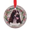 Best Of Breed Springer Spaniel Hanging Decoration