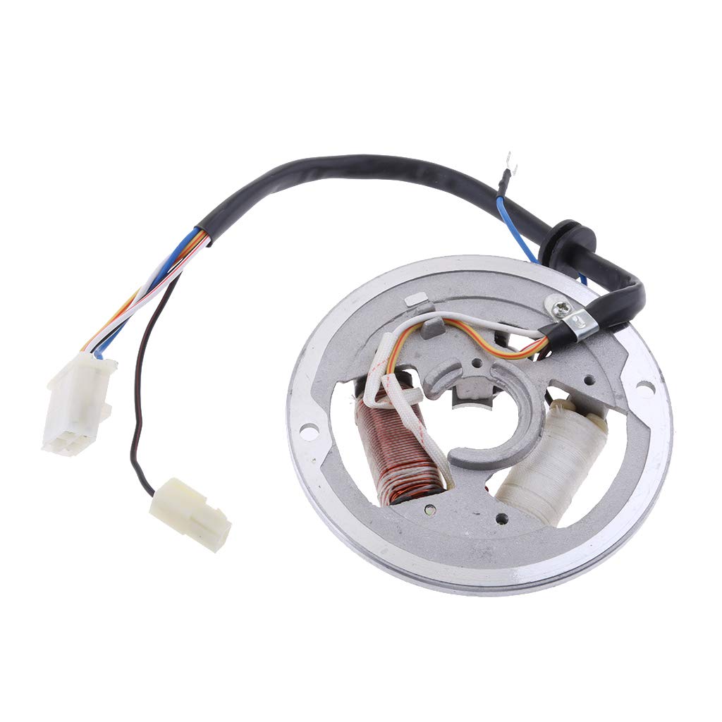 Magnetic Stator Ignition Generator 2 Pole Coil Stator Coil for Yamaha Scooter ATV Motorcycle