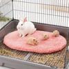 1 PC Warm Winter Plush Thickened Pet Mat Non-slip Water Absorbent Sleeping Mat for Pet Small Animals Hamsters Guinea Pigs Rabbit