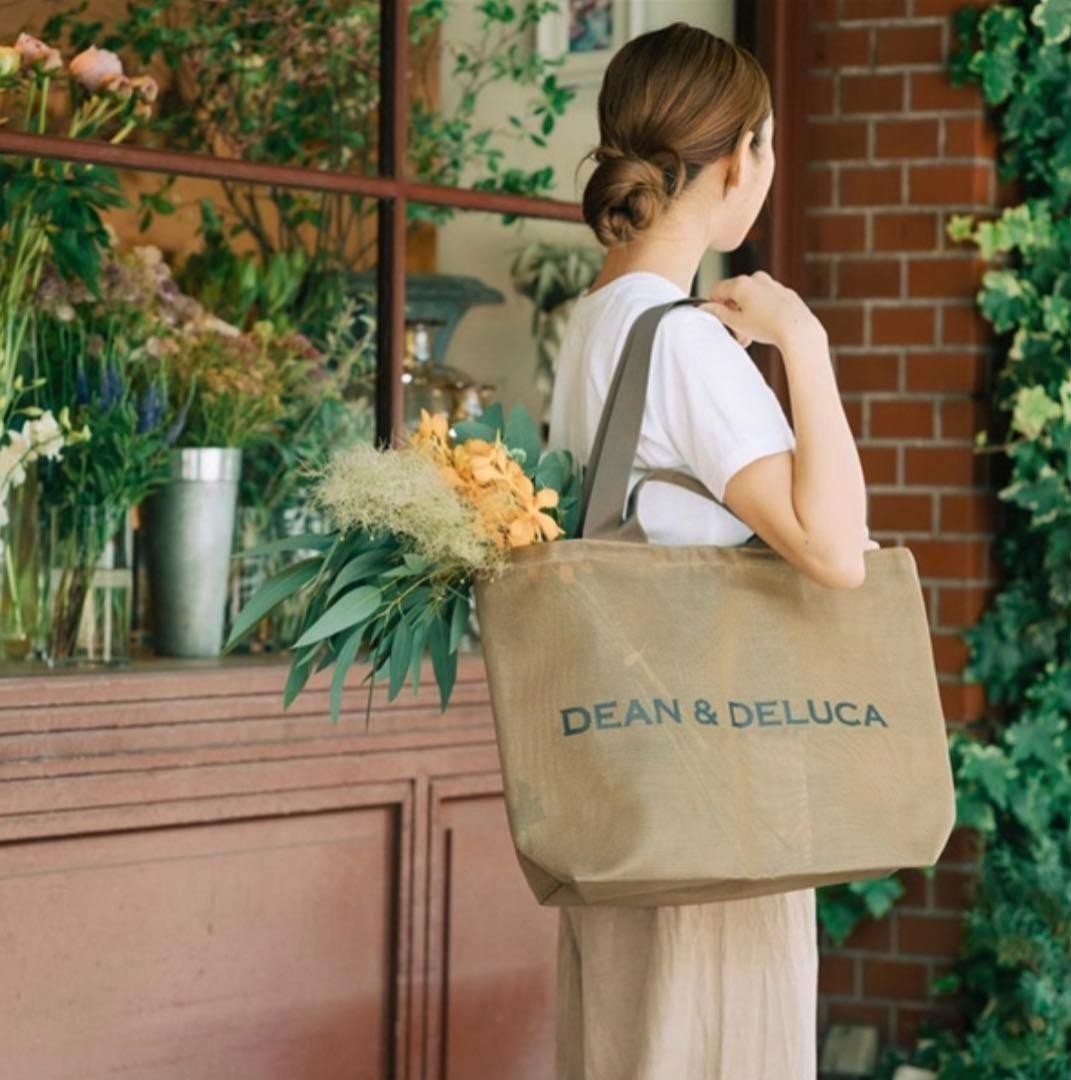 

Dean & Deluca Women s Portable Transparent Mesh Tote Bag for Beach and Shopping