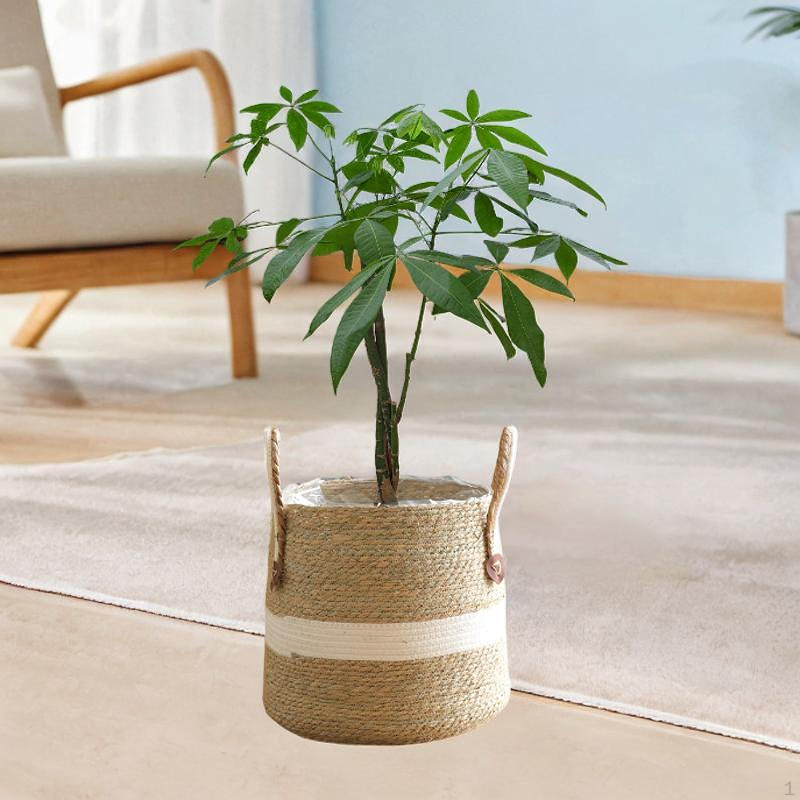 

Корзина для растений Декоративный цветочный горшок для хранения Контейнер для гостиной 33cmxx36cm