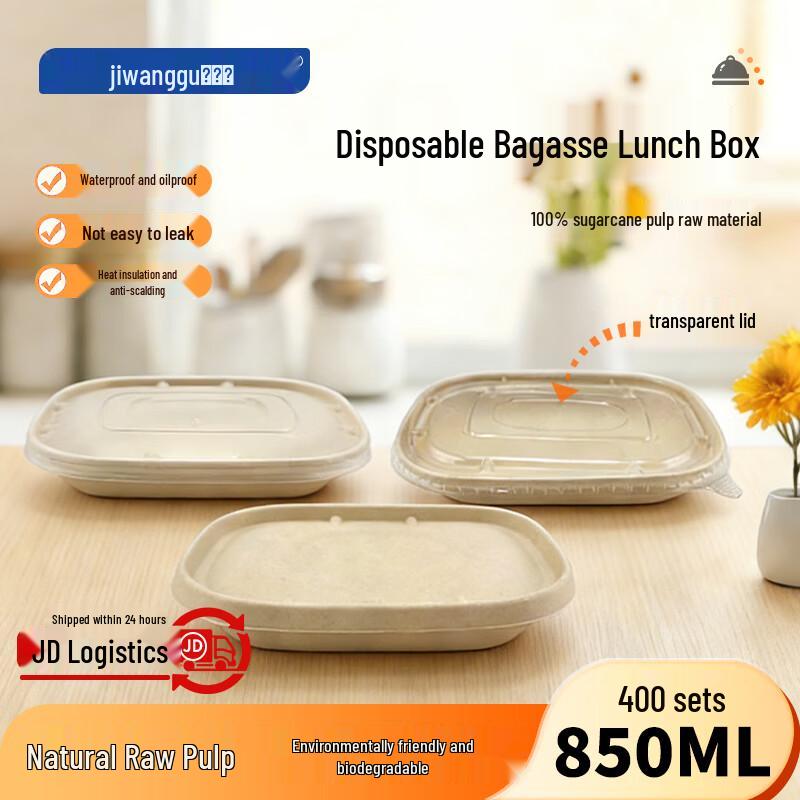 Eco-Friendly Bagasse Disposable Takeaway Box