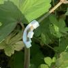 10 pièces Dispositif de pliage de plante Clip tomate en plastique, Clip de fixation anti-pliage de renforcement de branche, Clip de mise en forme de plante horticole pour protection de tige d'oreille