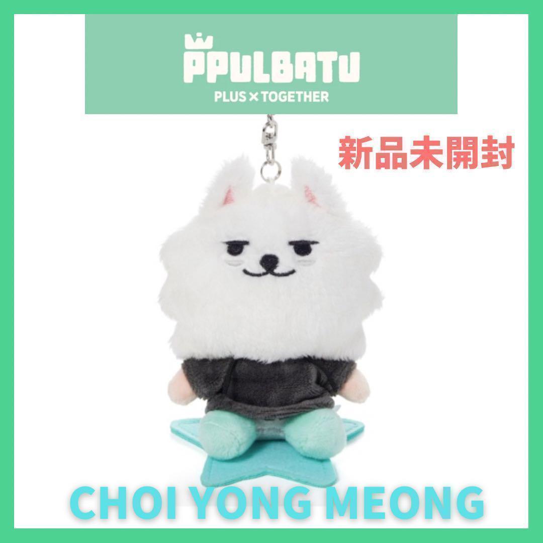 

[Б/У] TXT PPULBATU Субин * Ёнмон * Плюшевый брелок