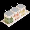 Shandie Glass Seasoning Jar Set