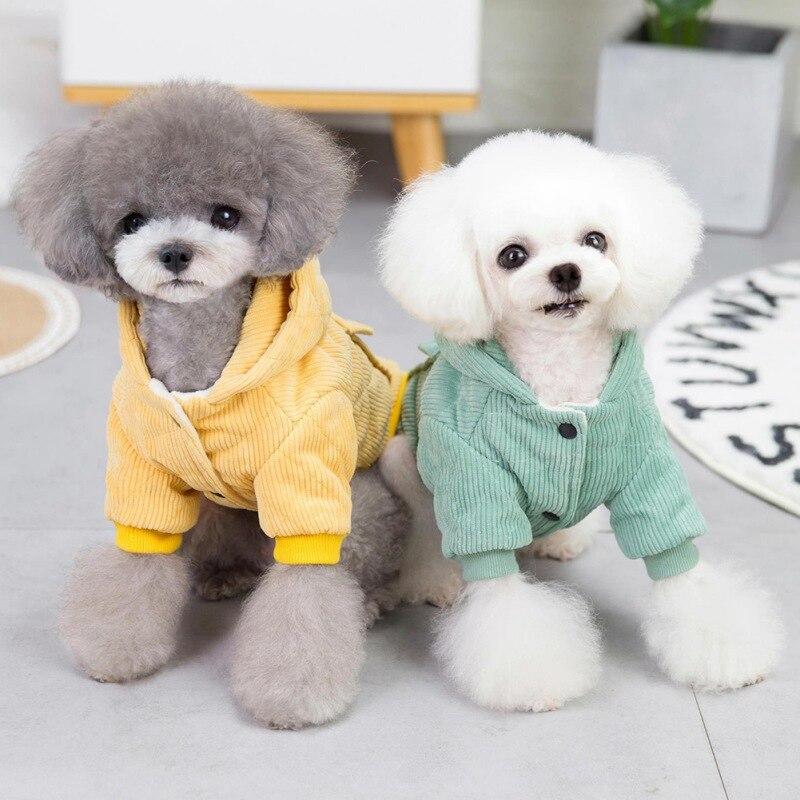 winter dog outfits