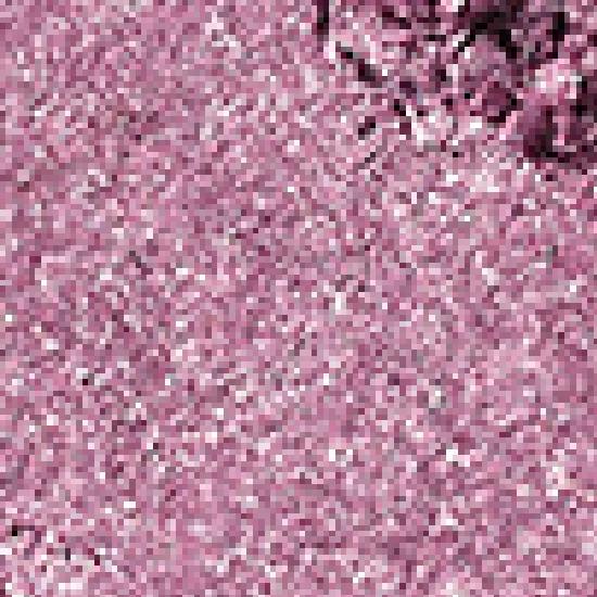 rom&nd slide in single