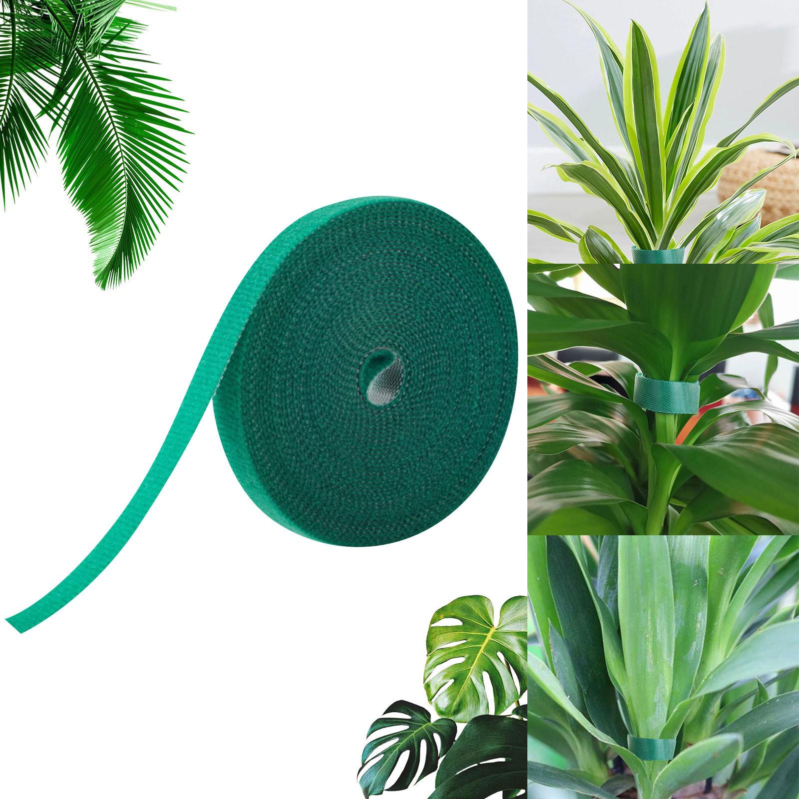 

Climbing Plant Shaping Tape: Green Cable Ties for Branch Support, Flower Arranging, and Binding.