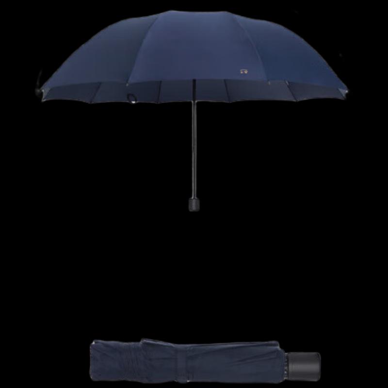 Paradise Large Reinforced 10-Rib Folding Umbrella