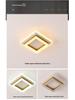 LED Minimalist Modern Aisle, Entrance, Walk-in Closet, and Balcony Dimmable Light