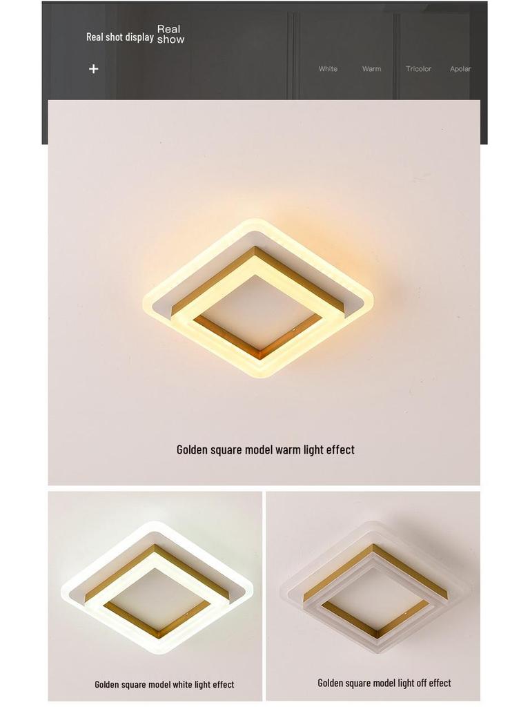 LED Minimalist Modern Aisle, Entrance, Walk-in Closet, and Balcony Dimmable Light
