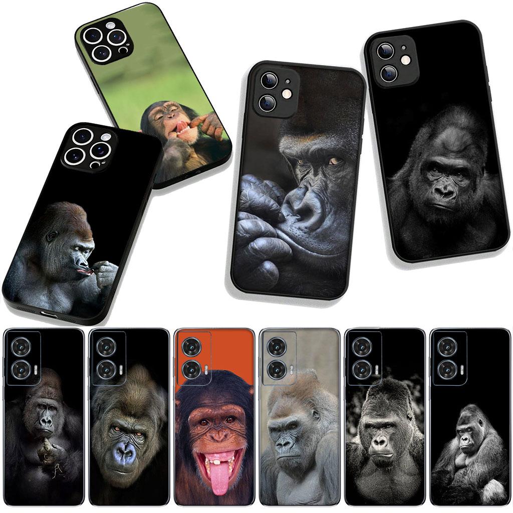 Cover for Samsung Galaxy S25 S24 S22 S23 FE Ultra Plus A56 A05 A06 A15 A16 A55 S7 Edge Phone Case Gorilla Ape Baby Monkey