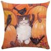 Cute Kitten Pillowcase Funny Cat Painting Throw  for Bed Sofa Living Room