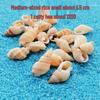 Conch Shells & Starfish for Hermit Crabs: Aquarium Decor & Drift Bottle Accessories
