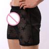 Men's Underwear Star Mesh Breathable  Pants Sexy Transparent Underwear