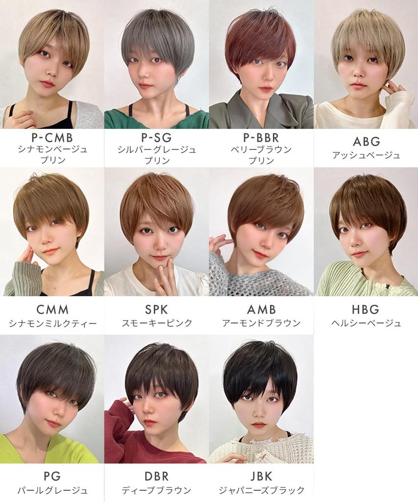 AQUADOLL Short Full Wig, Pudding Style, Black/Silver Hair, Boyish Style, Short Hair, One Size Fits Most, Medium, ABG. Ash Beige, wg316-M-ABG