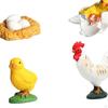 Chicken Growth Cycle Set,Teaching Aids Classroom,Learning,Early Education,Animals Figurine